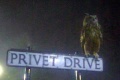 Privet Drive.jpg